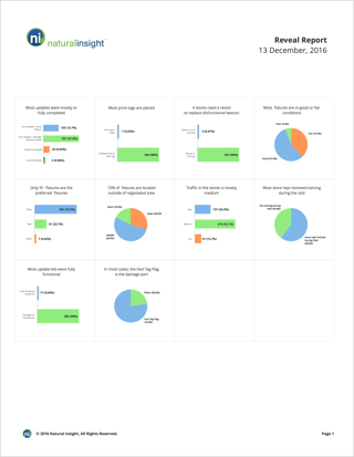 Reveal Analytics - Sample Report.png